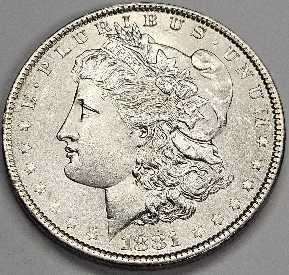 1881 Morgan Dollar . . . . Gem Brilliant Uncirculated