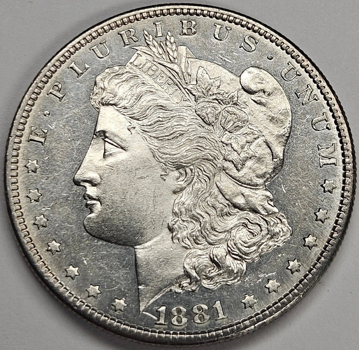 1881-S Morgan Dollar . . . . Choice BU Prooflike