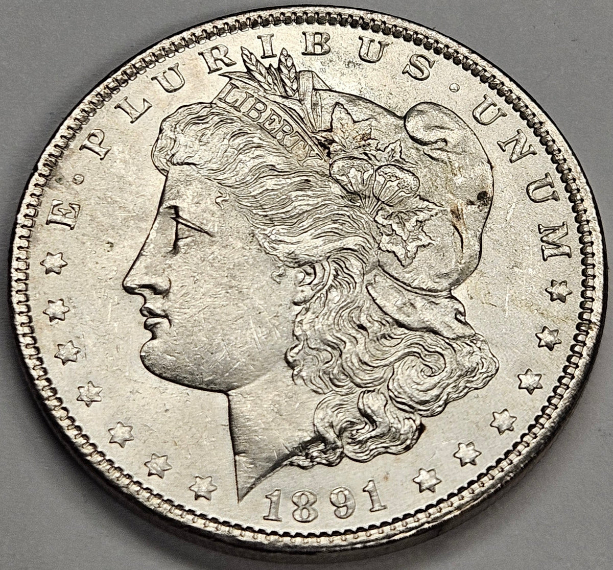 1891 Morgan Dollar . . . . Choice Brilliant Uncirculated