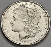 1891 Morgan Dollar . . . . Choice Brilliant Uncirculated