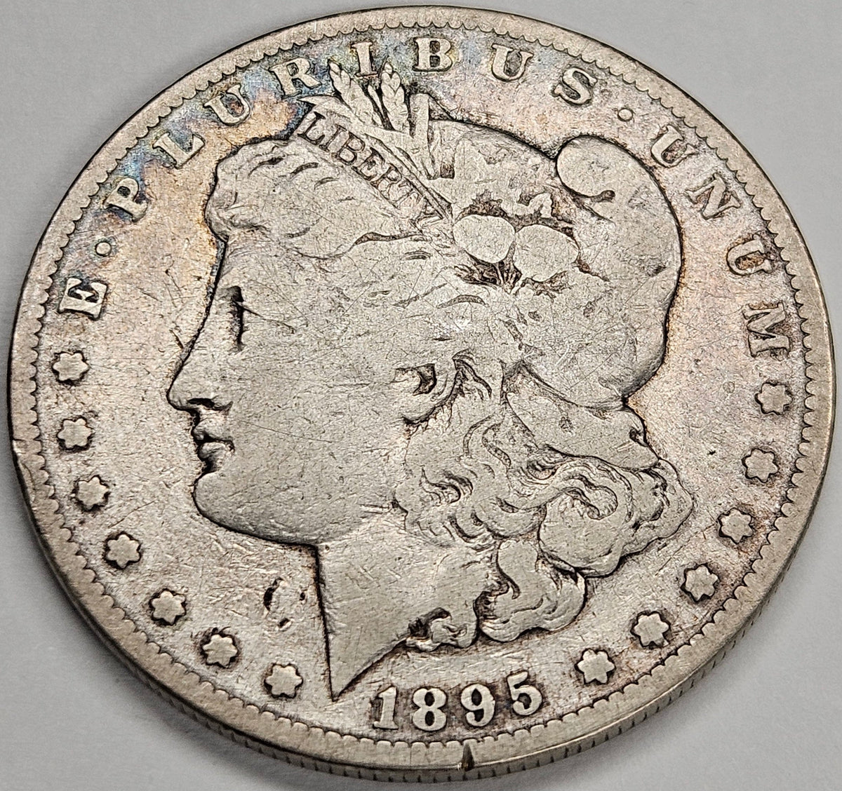 1895-S Morgan Dollar . . . . Fine