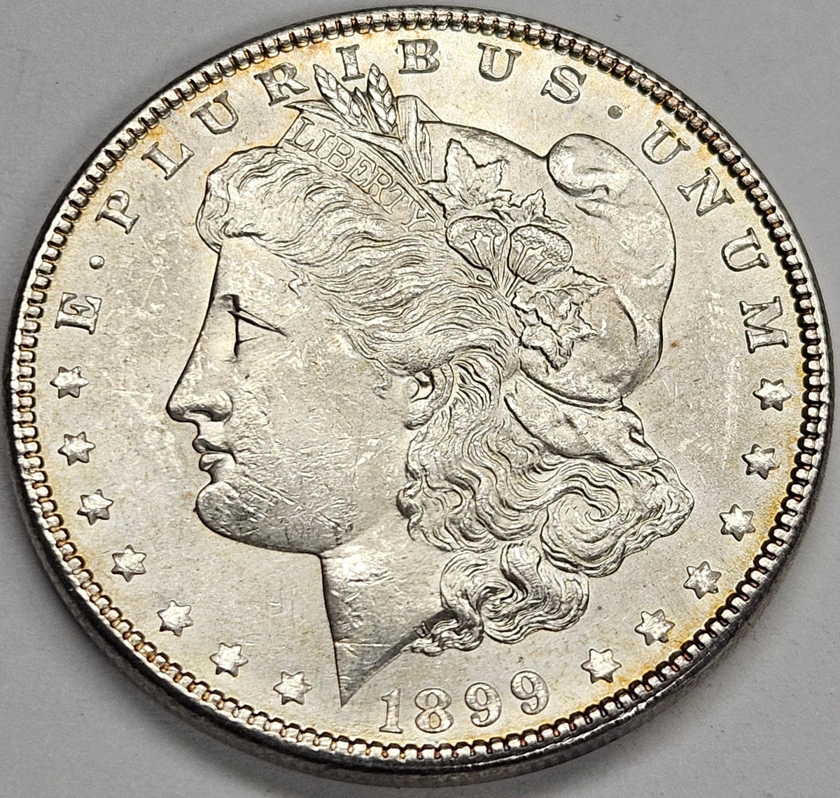 1899 Morgan Dollar . . . . Choice Brilliant Uncirculated