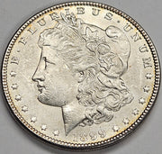 1899 Morgan Dollar . . . . Choice Brilliant Uncirculated