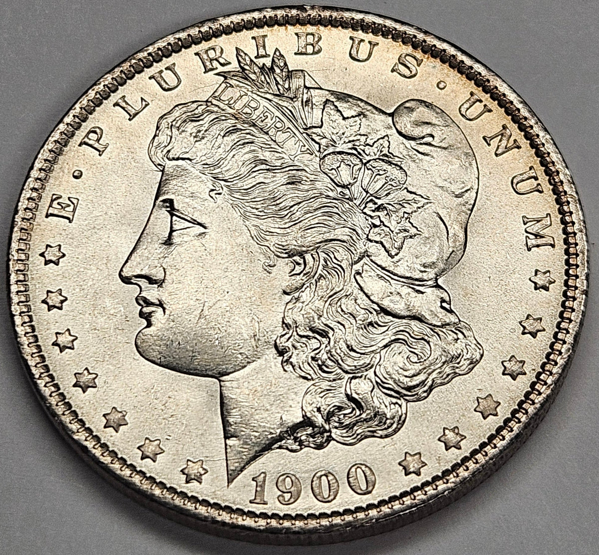 1900-O Morgan Dollar . . . . Gem Brilliant Uncirculated