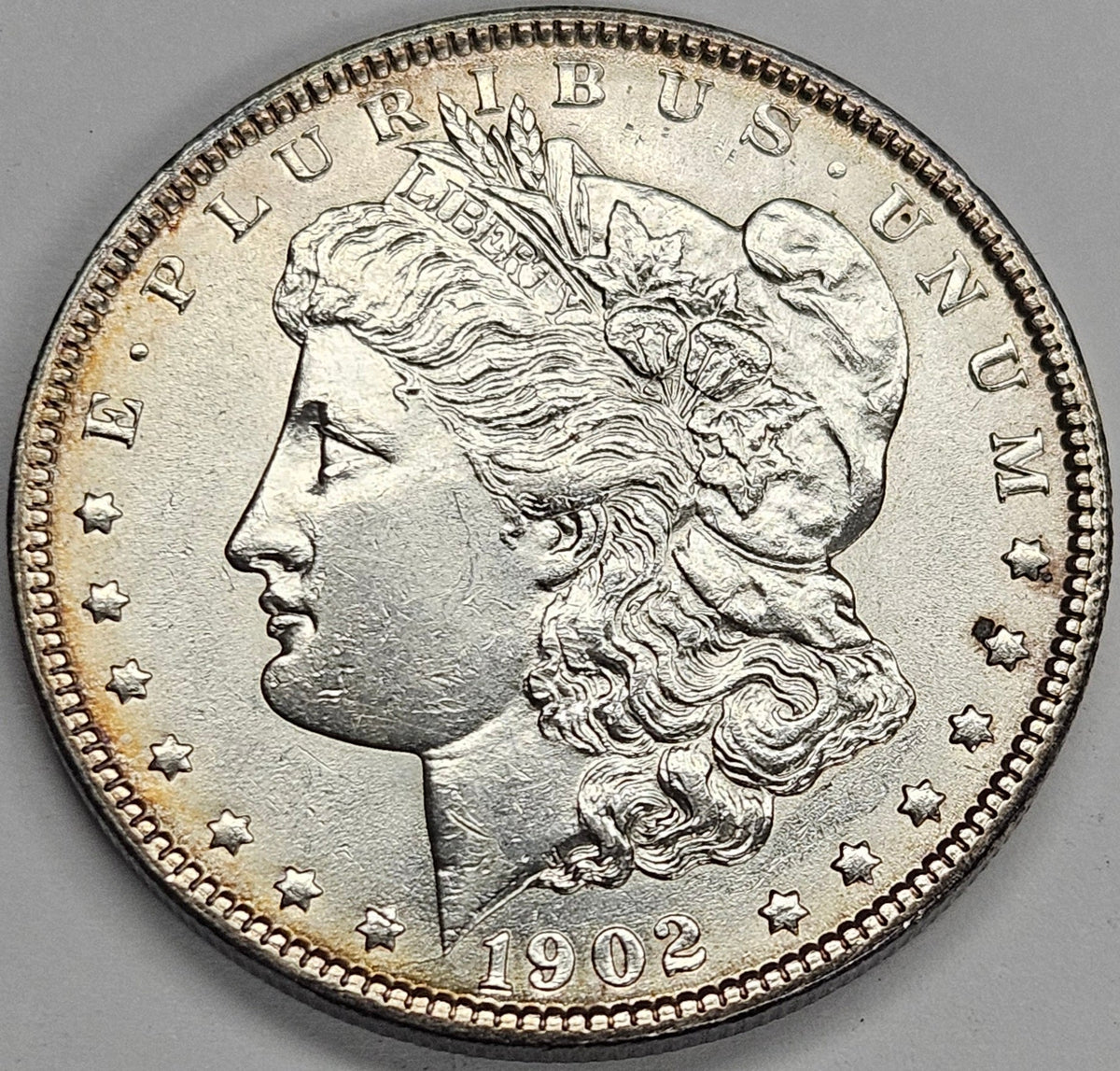 1902 Morgan Dollar . . . . Choice Brilliant Uncirculated