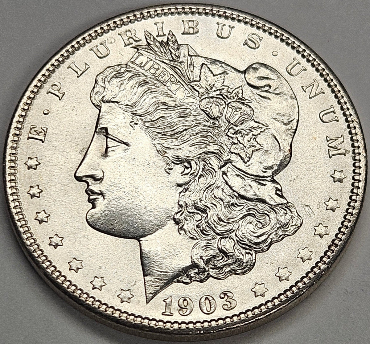 1903 Morgan Dollar . . . . Gem Brilliant Uncirculated