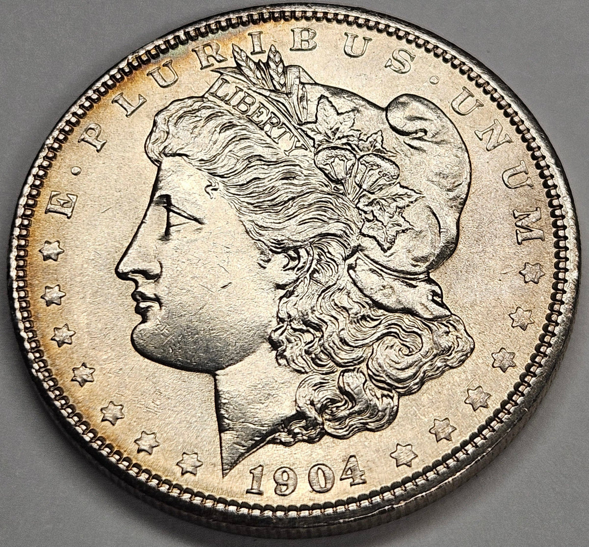 1904 Morgan Dollar . . . . Choice Brilliant Uncirculated