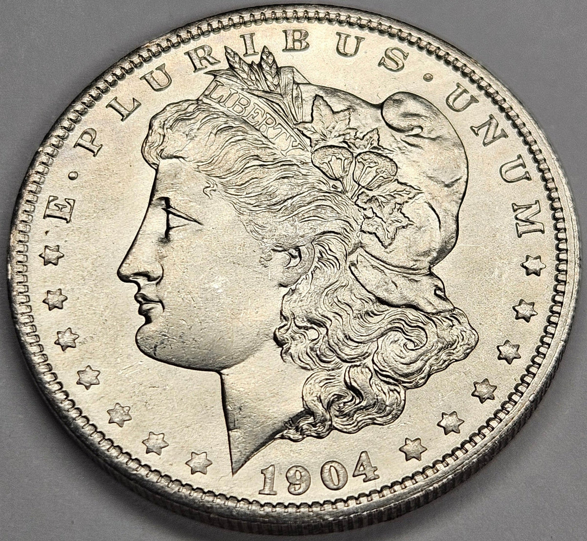 All 5 Morgan Dollars 99O, 00, 01O, 02O, 04O Select Brilliant Uncirculated